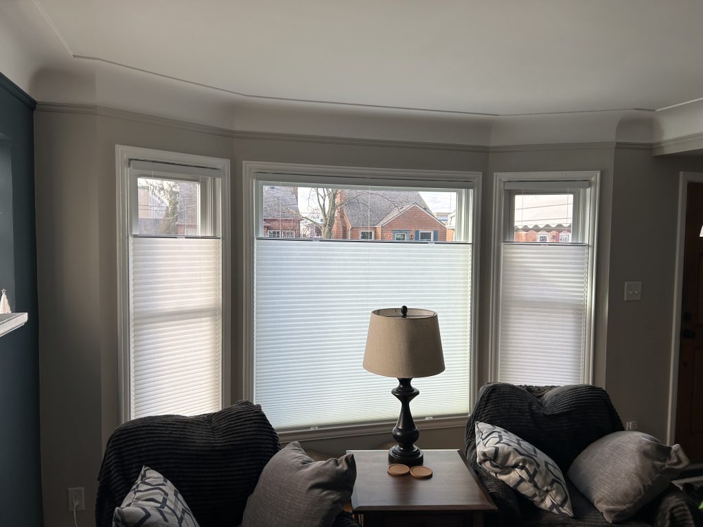 insulating cellular shades in family room