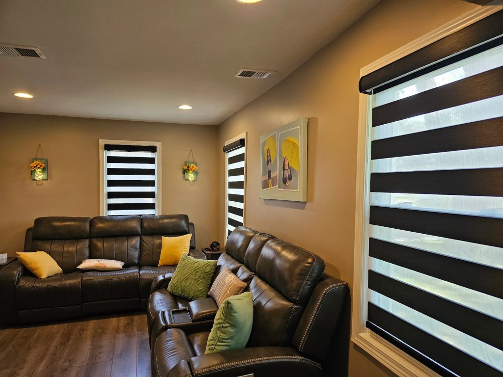 zebra shades in family room