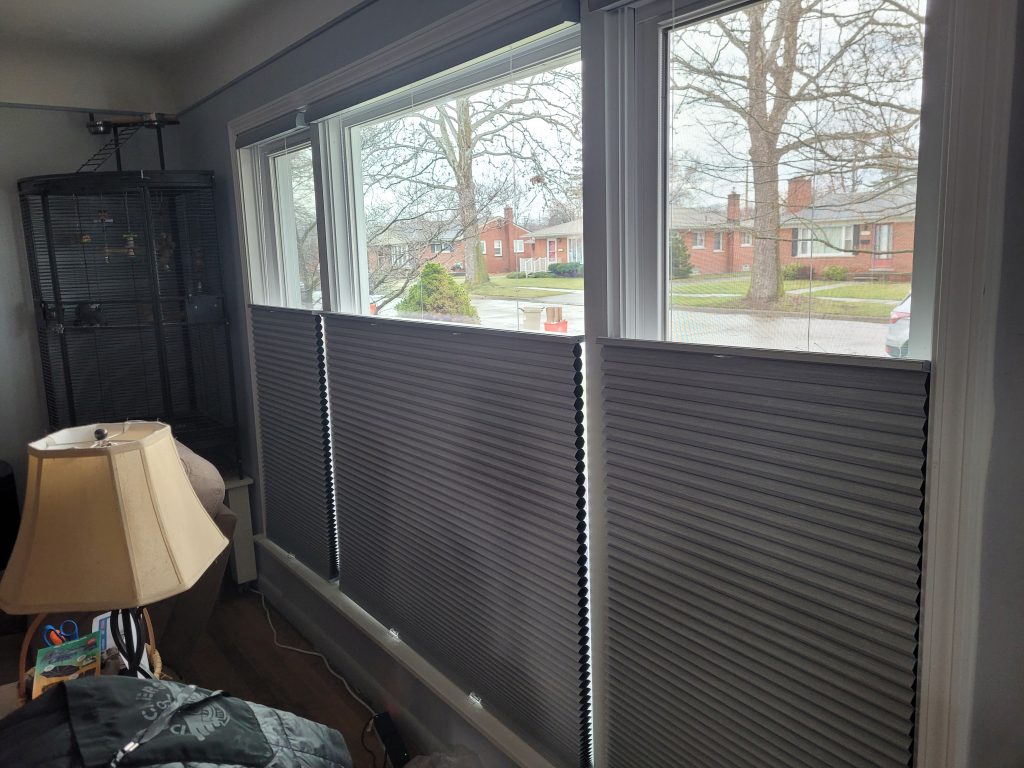 cellular shades front family room window